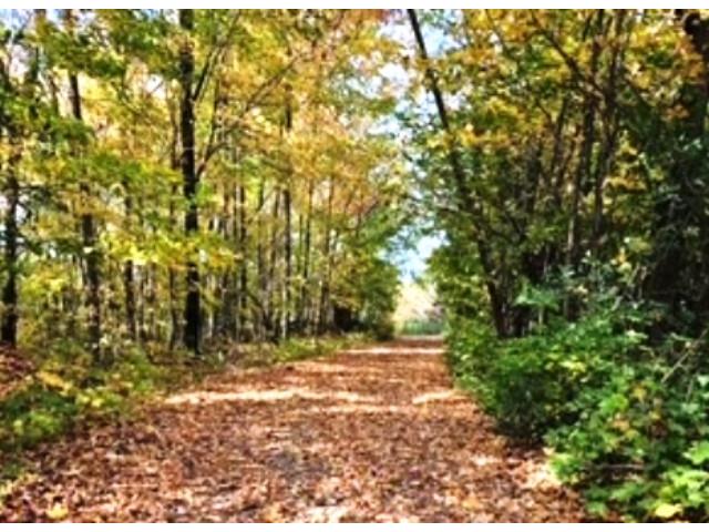 16861 W State Road 77 Hayward WI 54843 1600862 image54