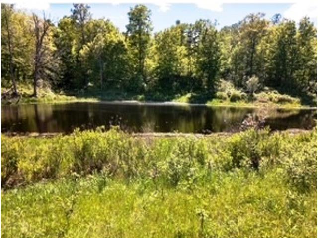 16861 W State Road 77 Hayward WI 54843 1600862 image57