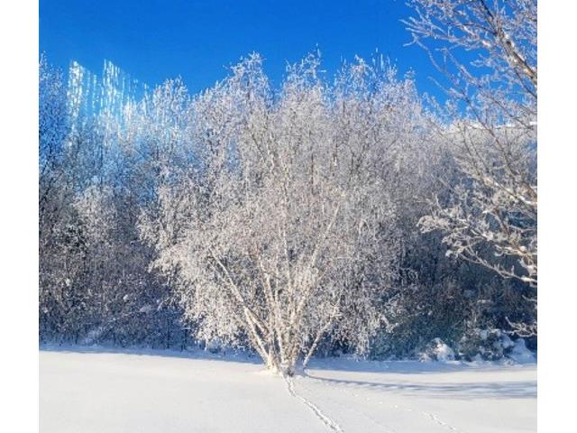 16861 W State Road 77 Hayward WI 54843 1600862 image58