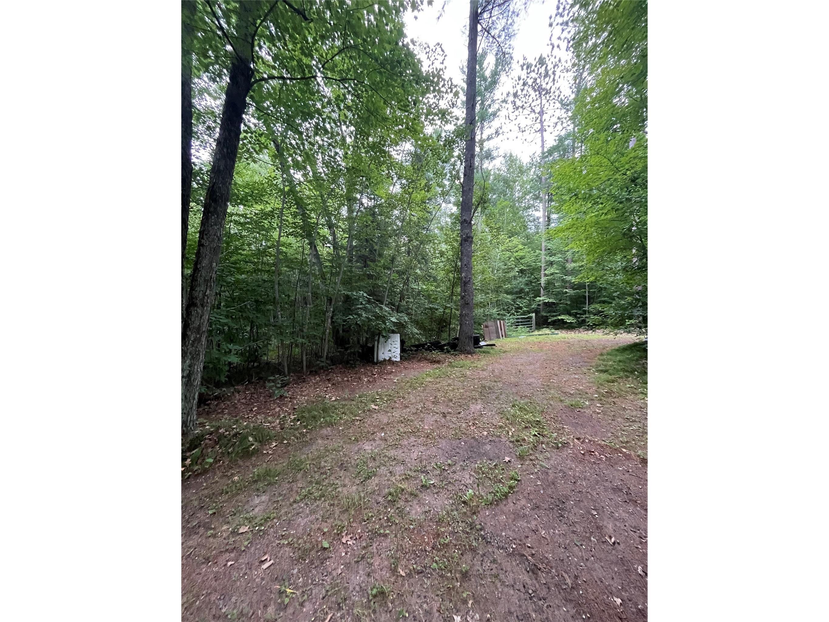 16876 Southview Trail Stone Lake WI 54876 1599724 image10