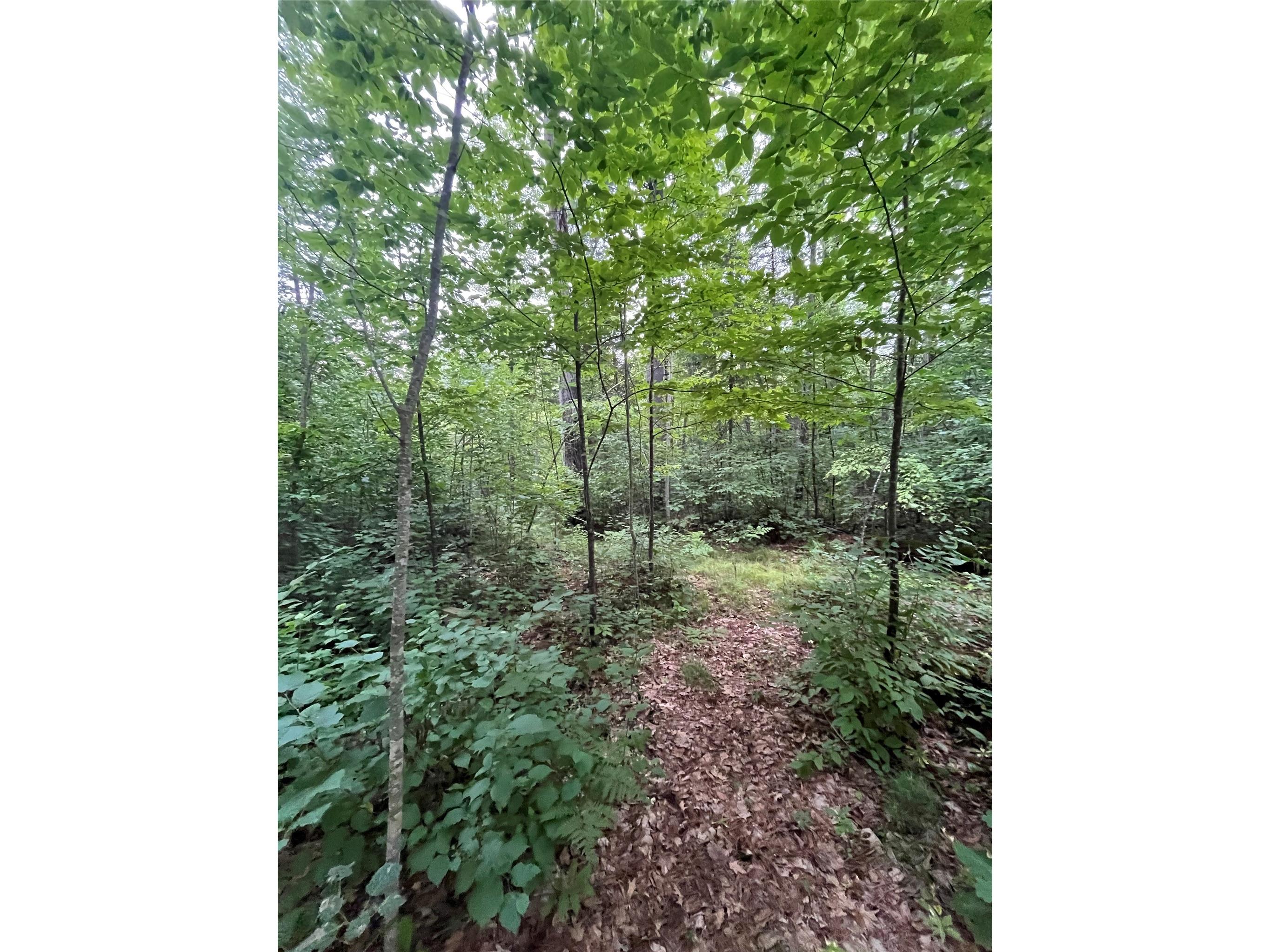 16876 Southview Trail Stone Lake WI 54876 1599724 image12