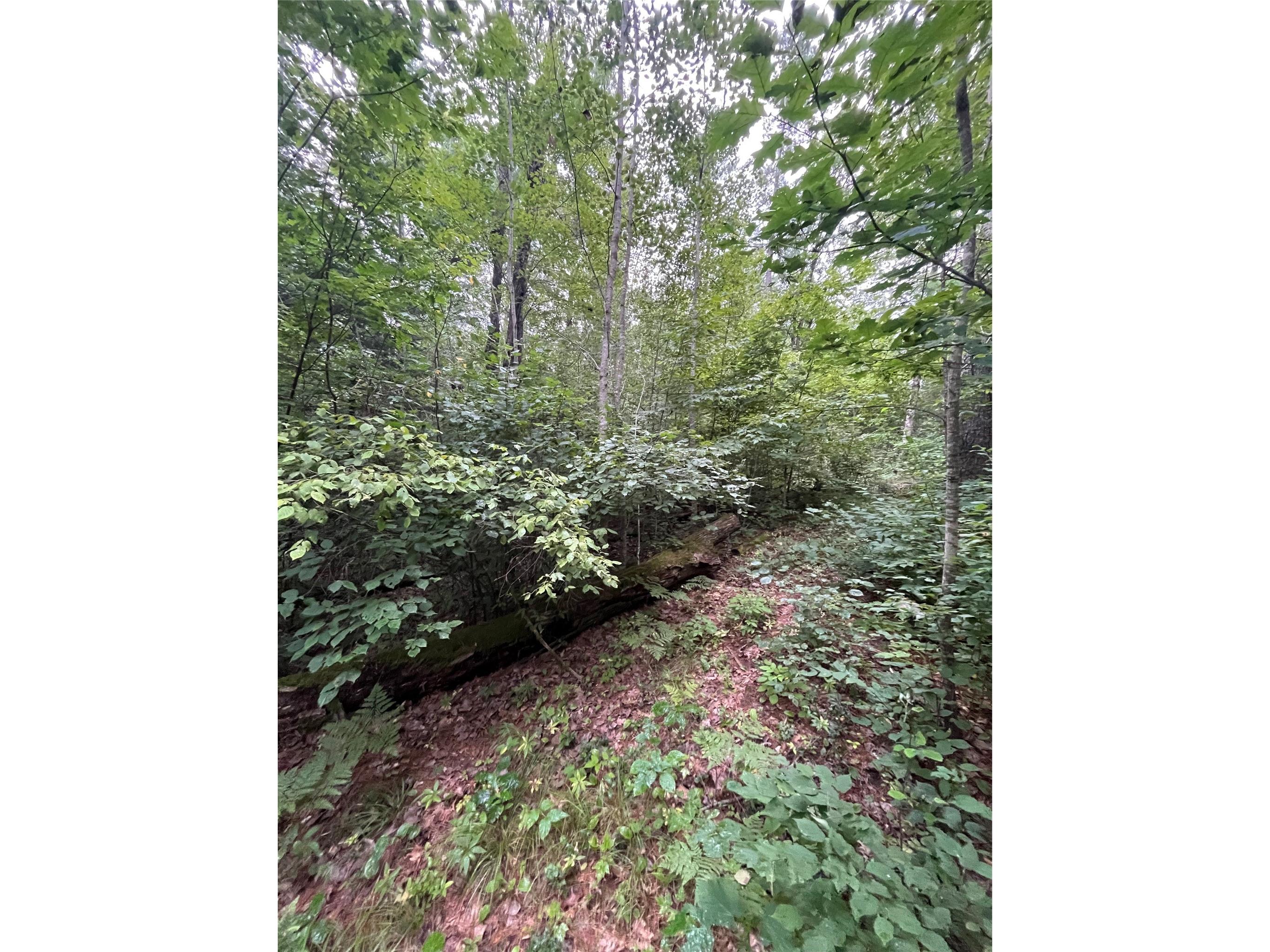 16876 Southview Trail Stone Lake WI 54876 1599724 image14