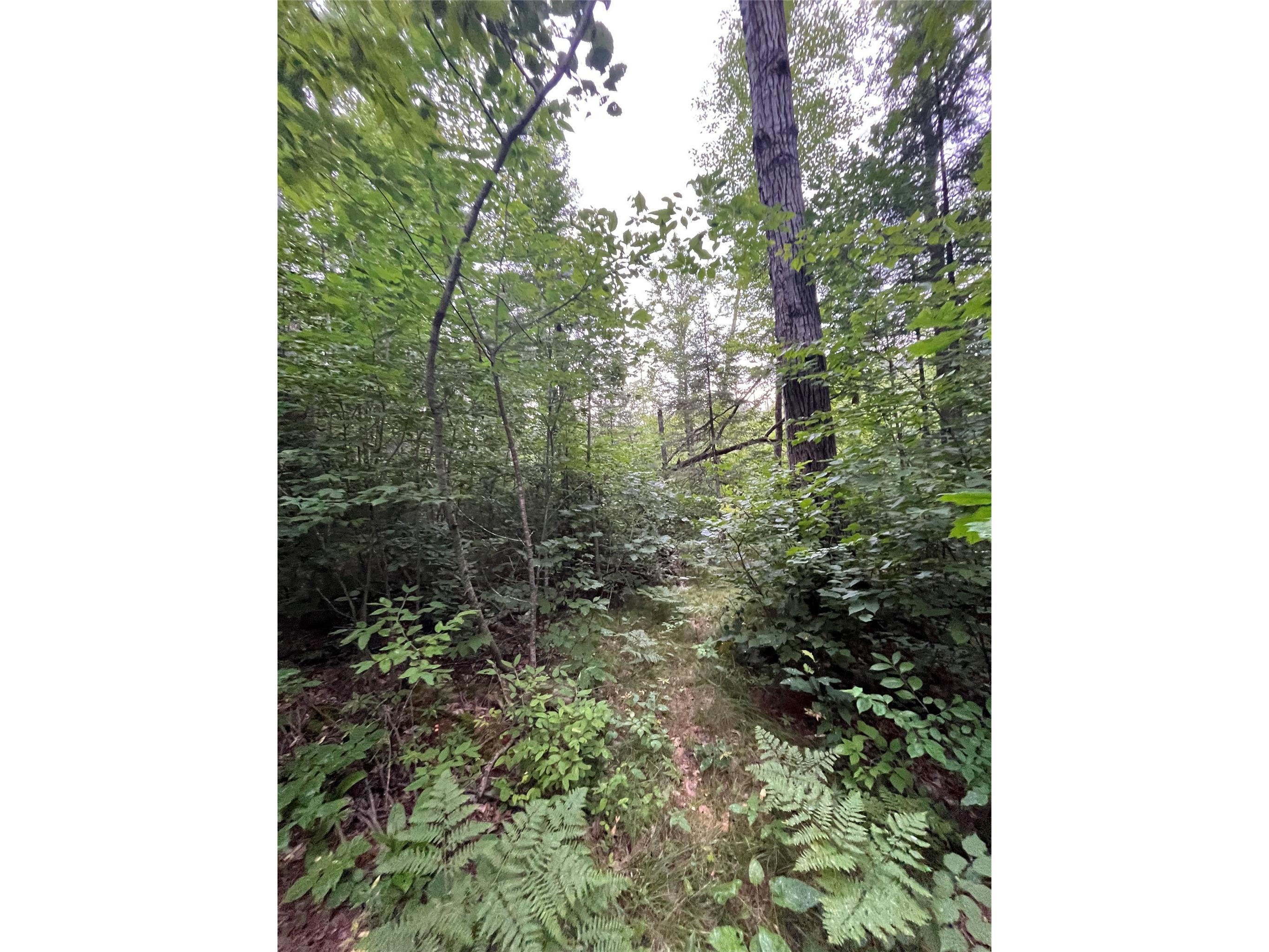 16876 Southview Trail Stone Lake WI 54876 1599724 image15