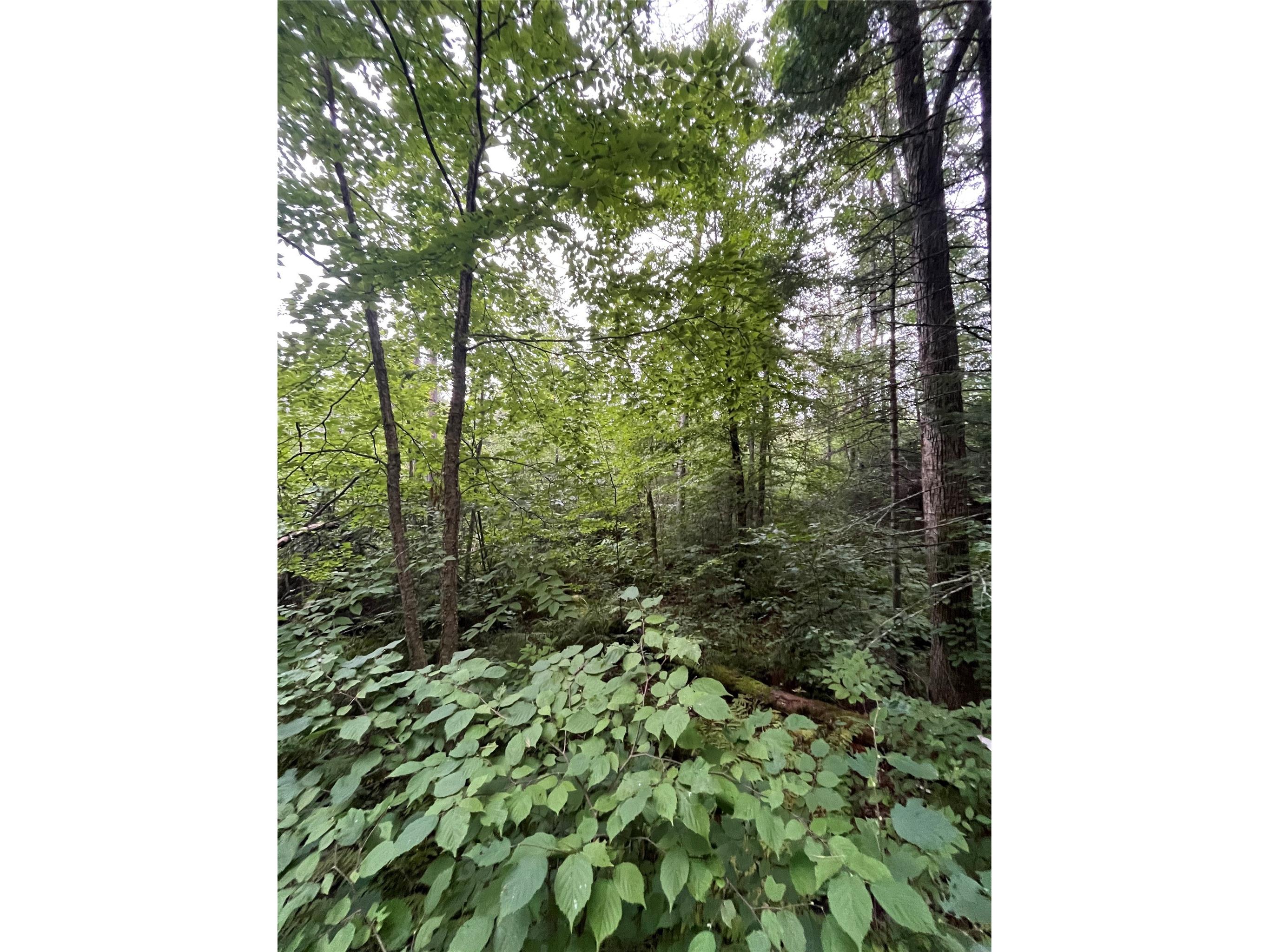 16876 Southview Trail Stone Lake WI 54876 1599724 image16