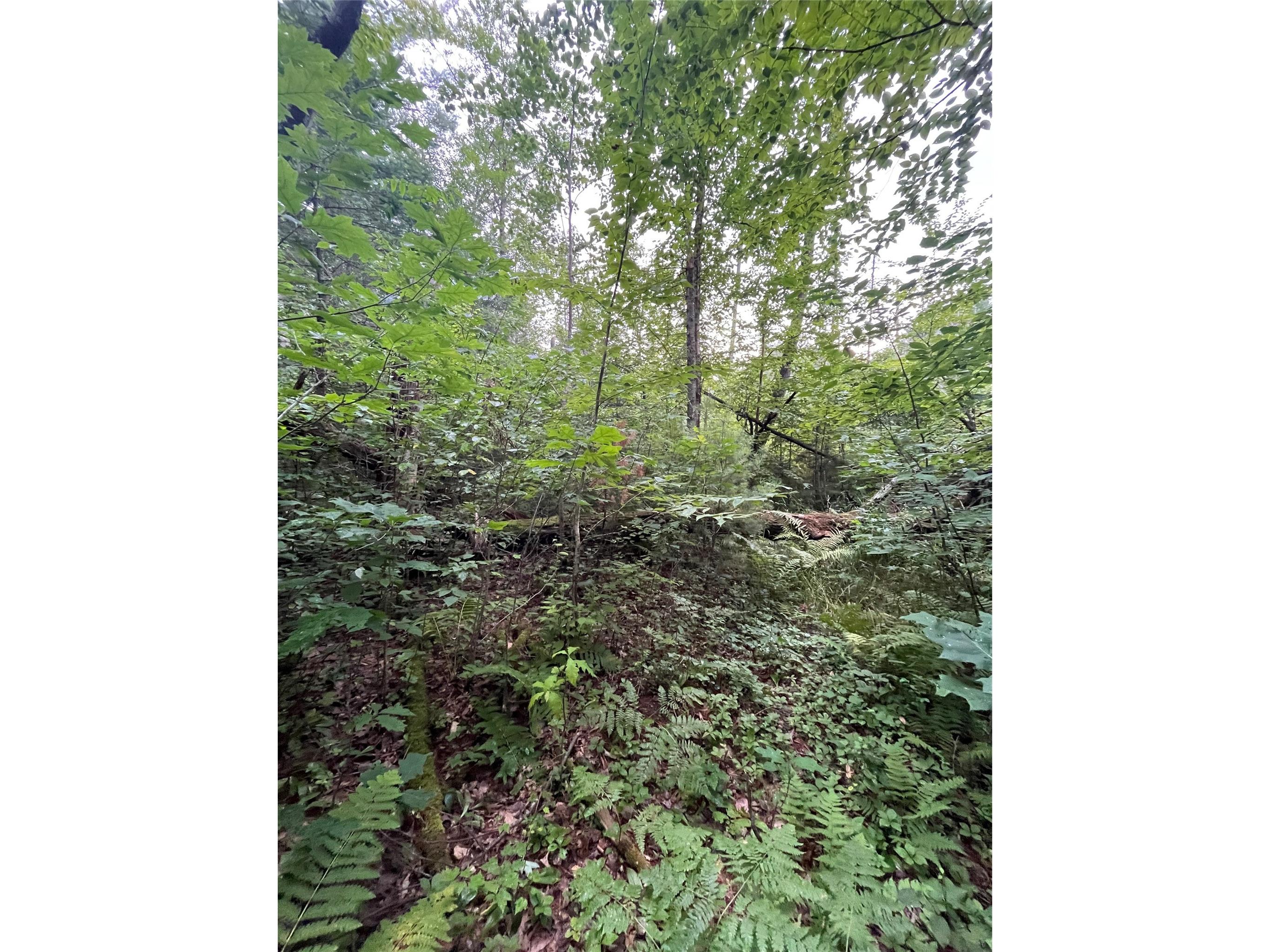 16876 Southview Trail Stone Lake WI 54876 1599724 image17