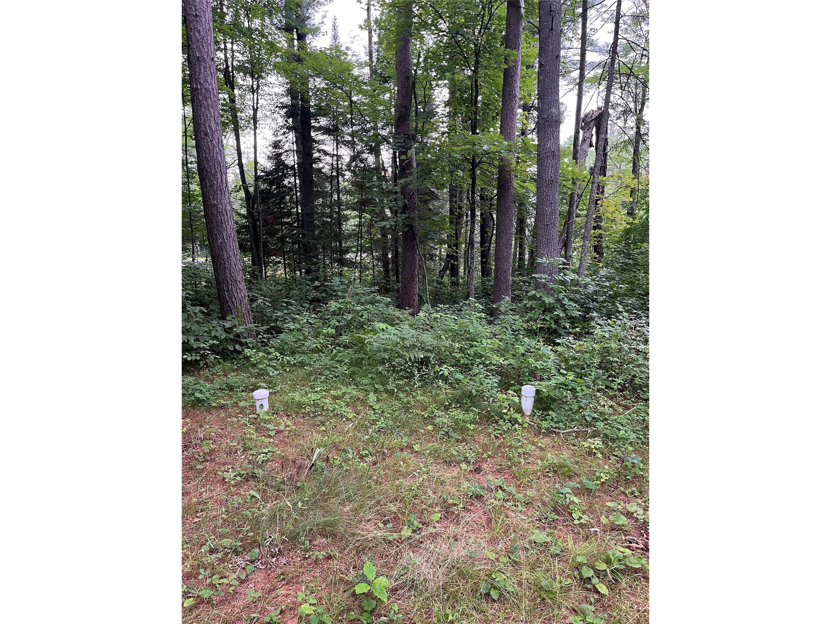 16876 Southview Trail Stone Lake WI 54876 1599724 image18