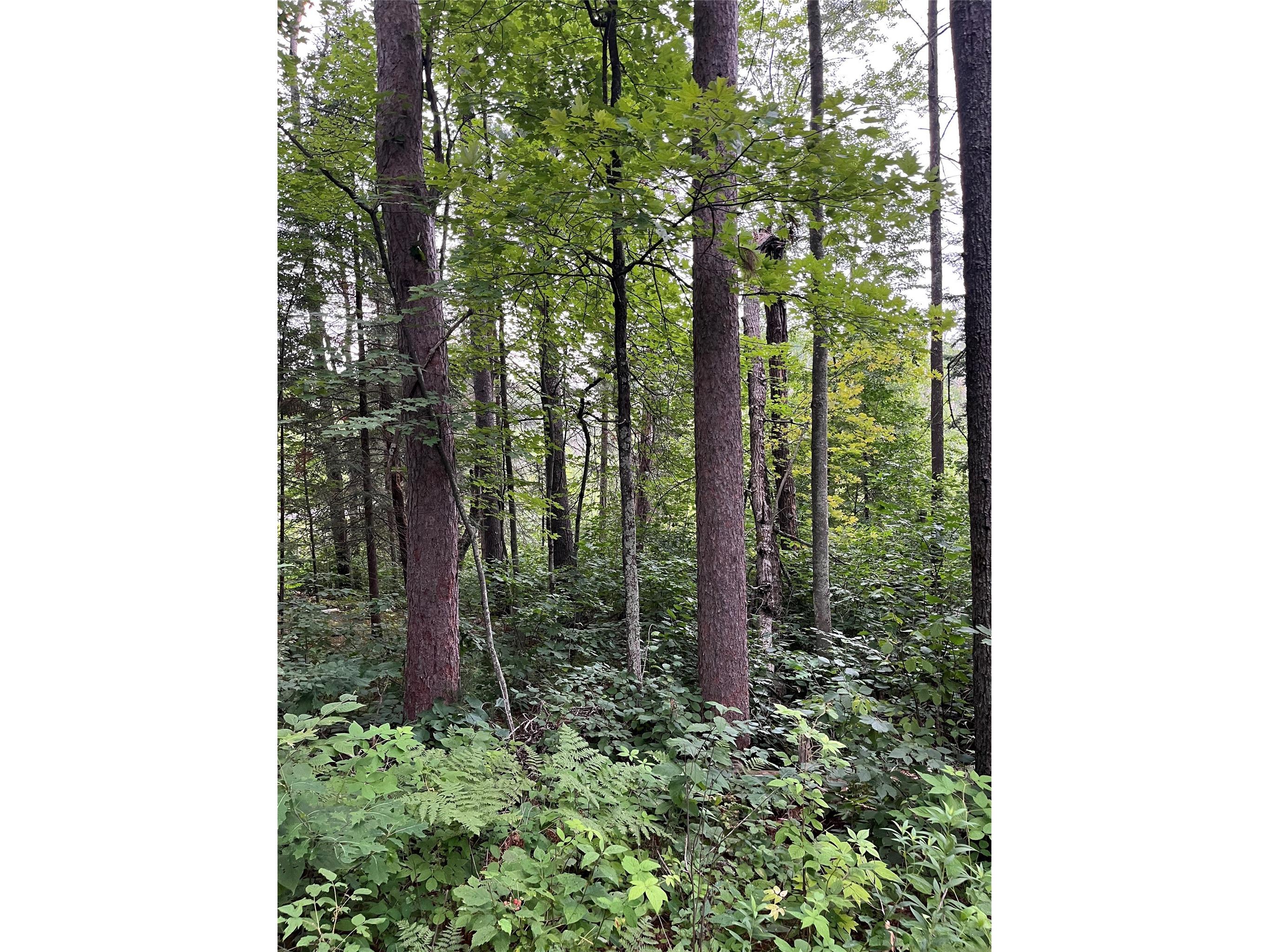 16876 Southview Trail Stone Lake WI 54876 1599724 image19