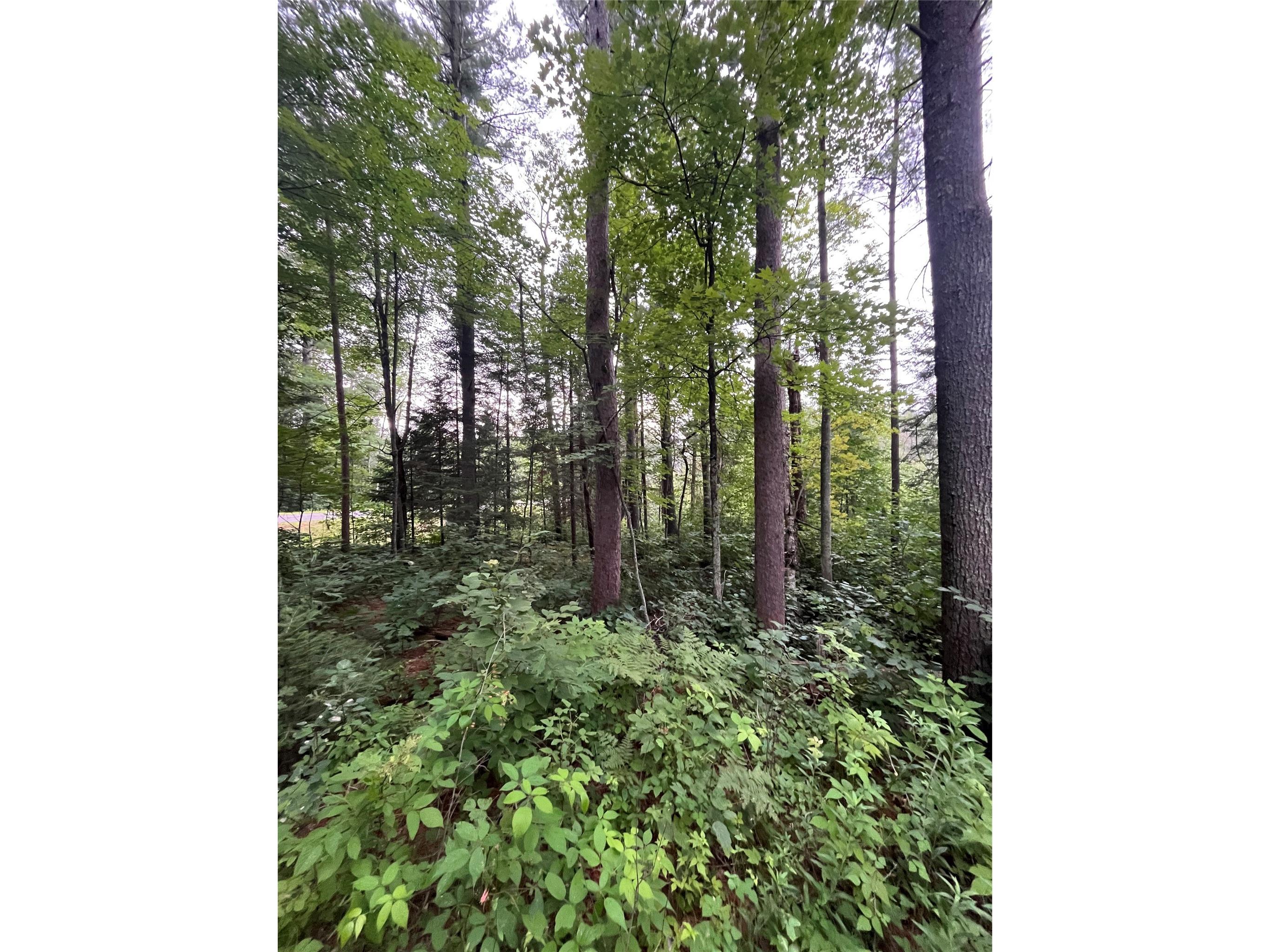 16876 Southview Trail Stone Lake WI 54876 1599724 image20