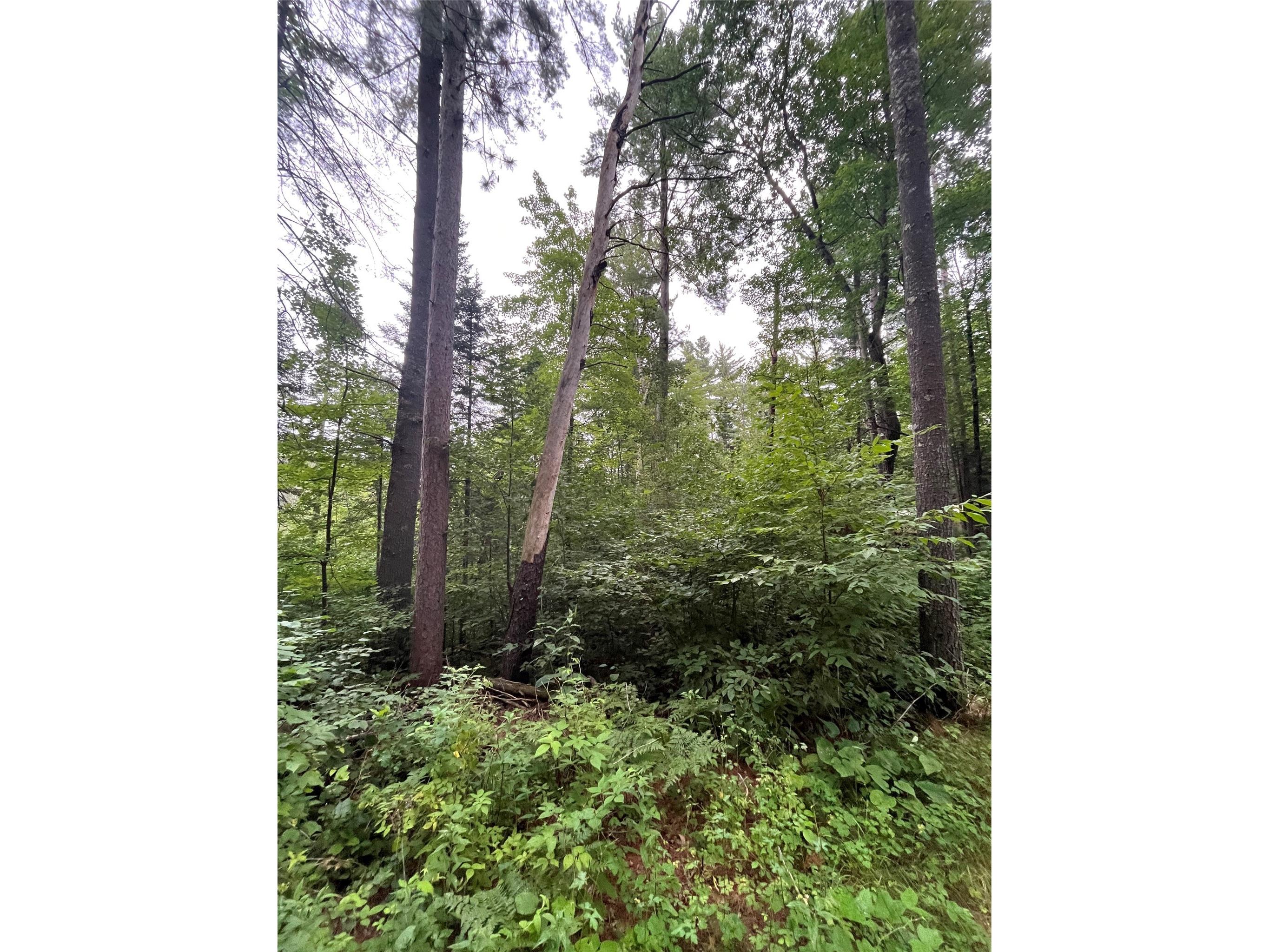 16876 Southview Trail Stone Lake WI 54876 1599724 image21