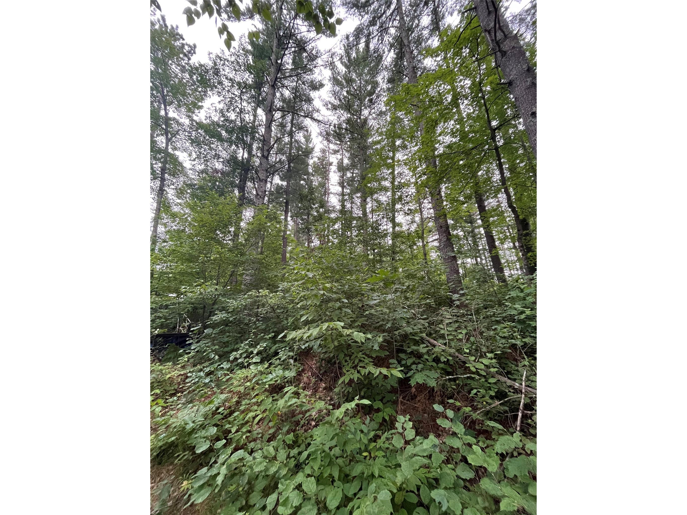 16876 Southview Trail Stone Lake WI 54876 1599724 image23
