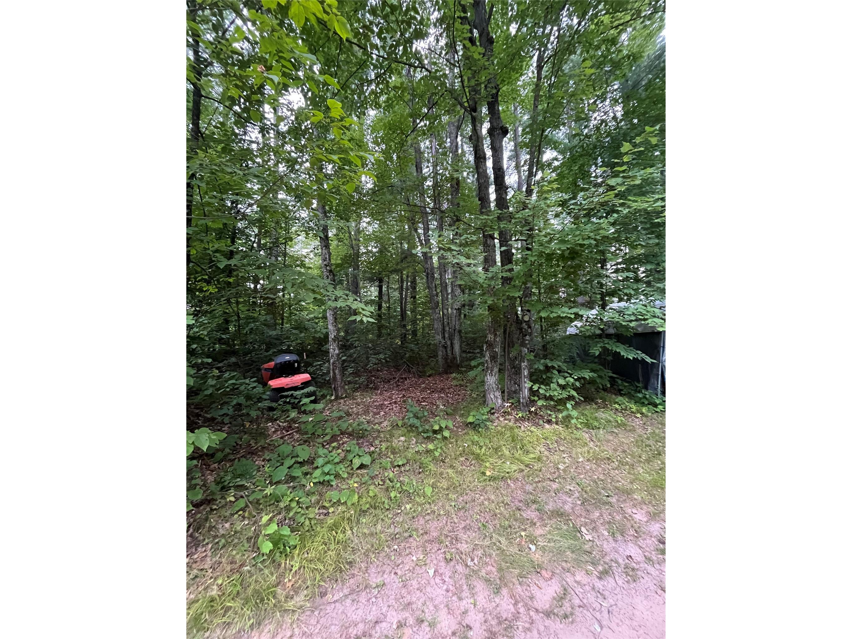 16876 Southview Trail Stone Lake WI 54876 1599724 image4