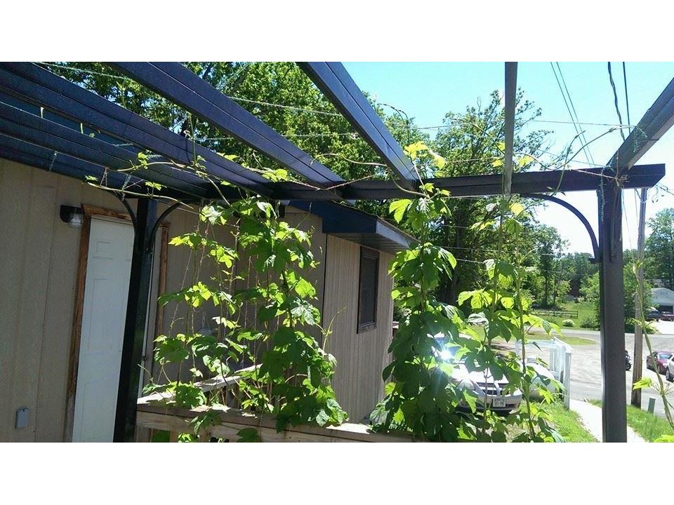 16877 W Main Street Stone Lake WI 54876 1549148 image5