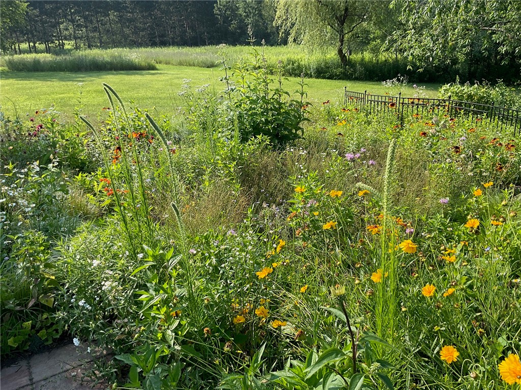 169003 Shorewood Drive Rosholt WI 54473 - Big Bass Lake 1591595 image53