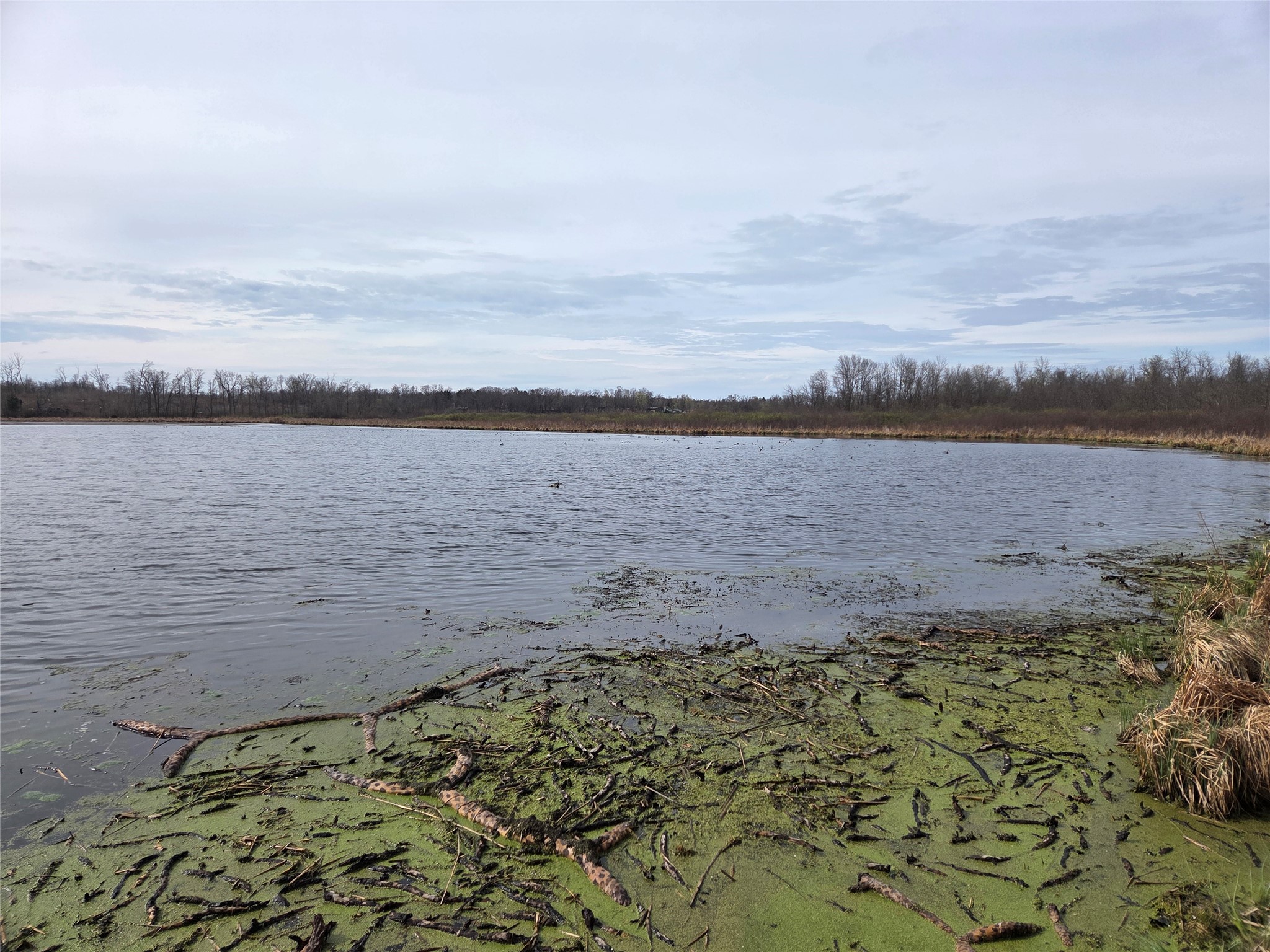 1695 White Ash Way #C Balsam Lake WI 54810 - White Ash Lake 1600469 image9