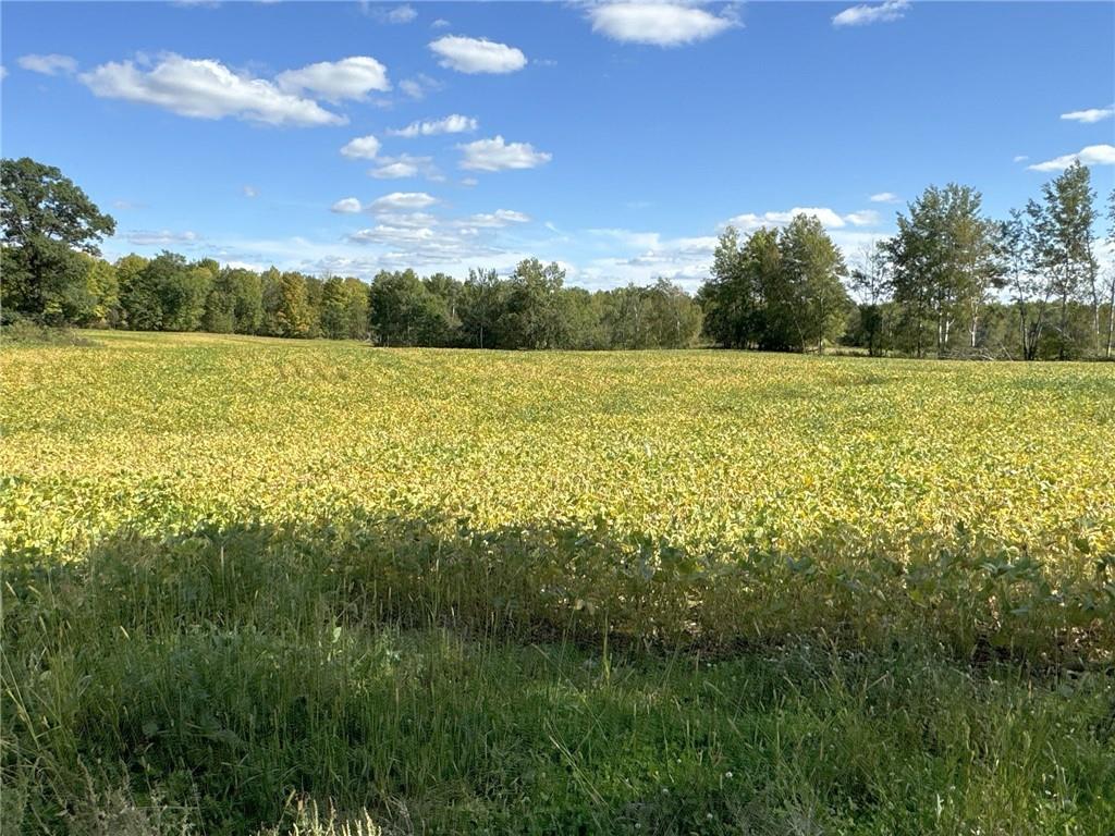 16X5X W County Road S Stanley WI 54768 1586159 image1