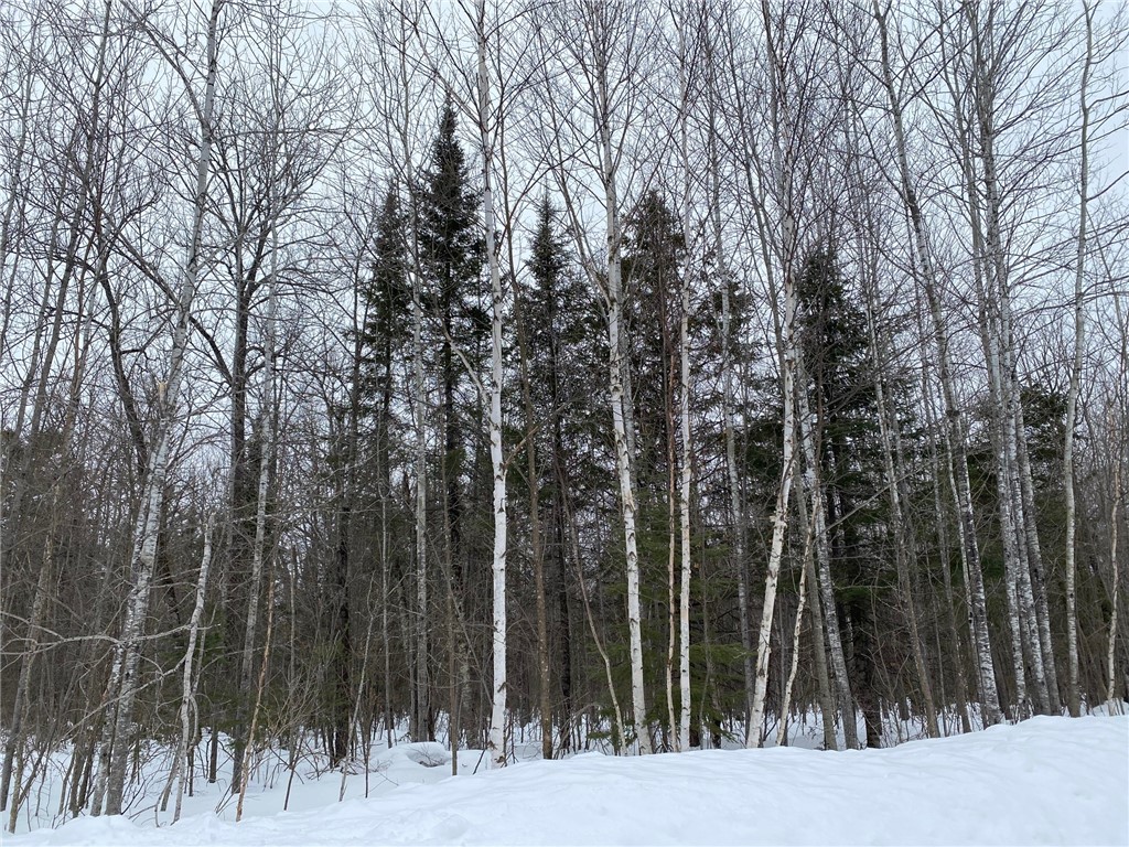 17 Acres Ole Lake Road Cable WI 54821 1571535 image1