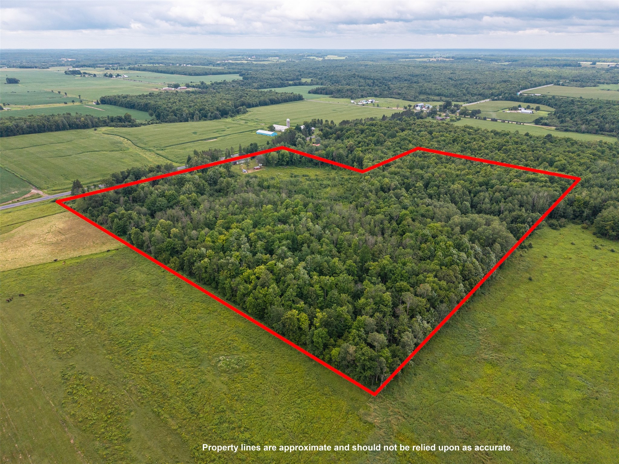 17028 W State Highway 64 Gilman WI 54433 1603513 image40
