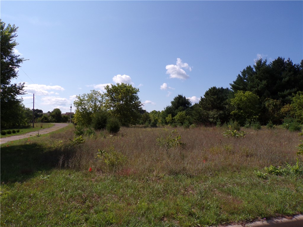 1715 Mitchell Avenue Eau Claire WI 54701 1568144 image1