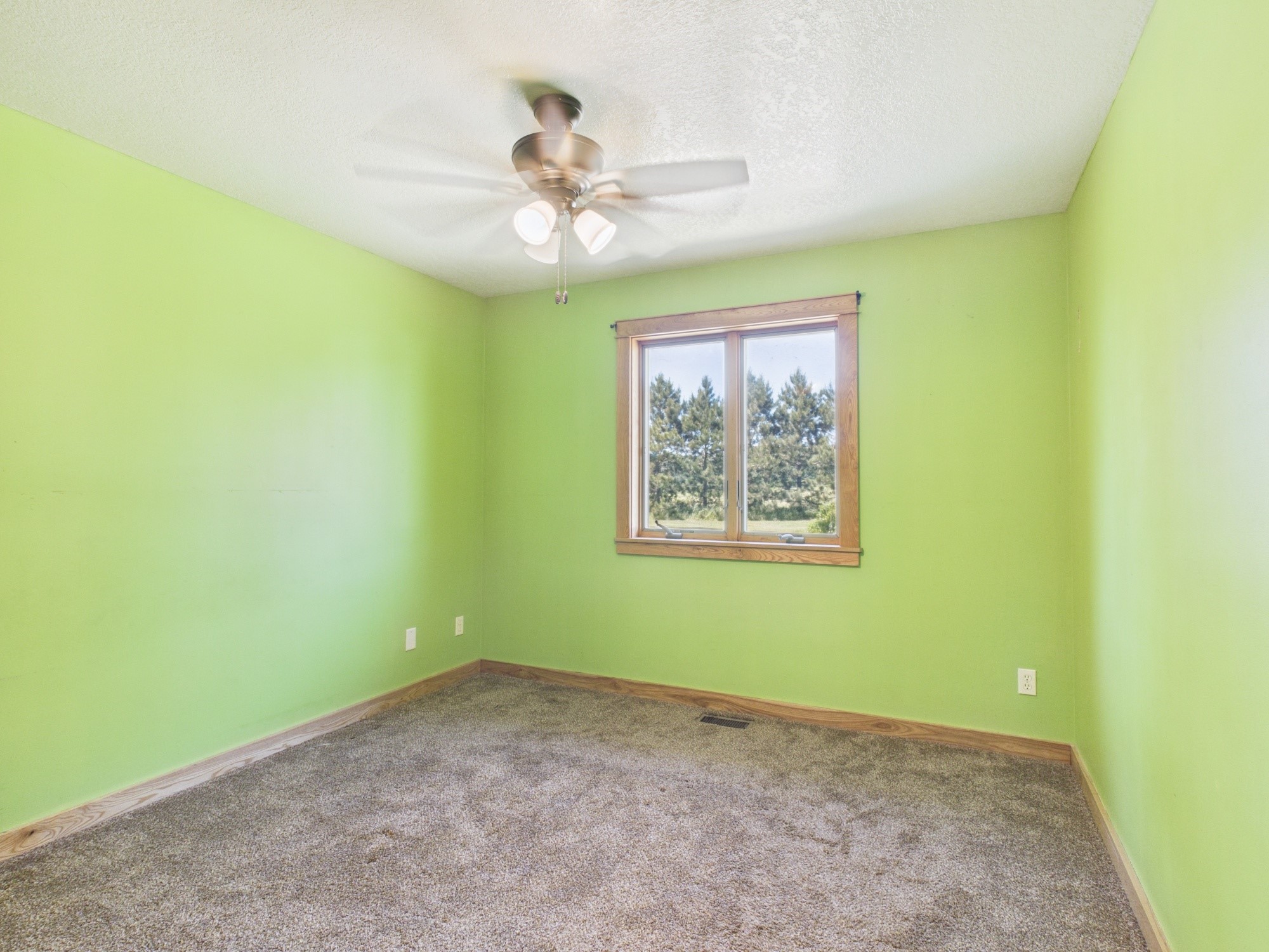 1729 N Bear Lake Drive Dresser WI 54009 - Bear 1601554 image19