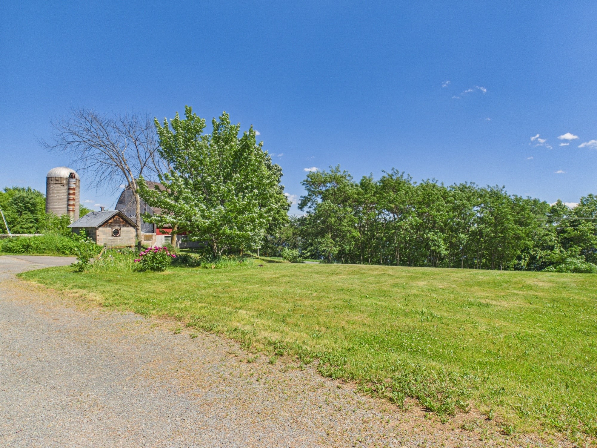 1729 N Bear Lake Drive Dresser WI 54009 - Bear 1601554 image45