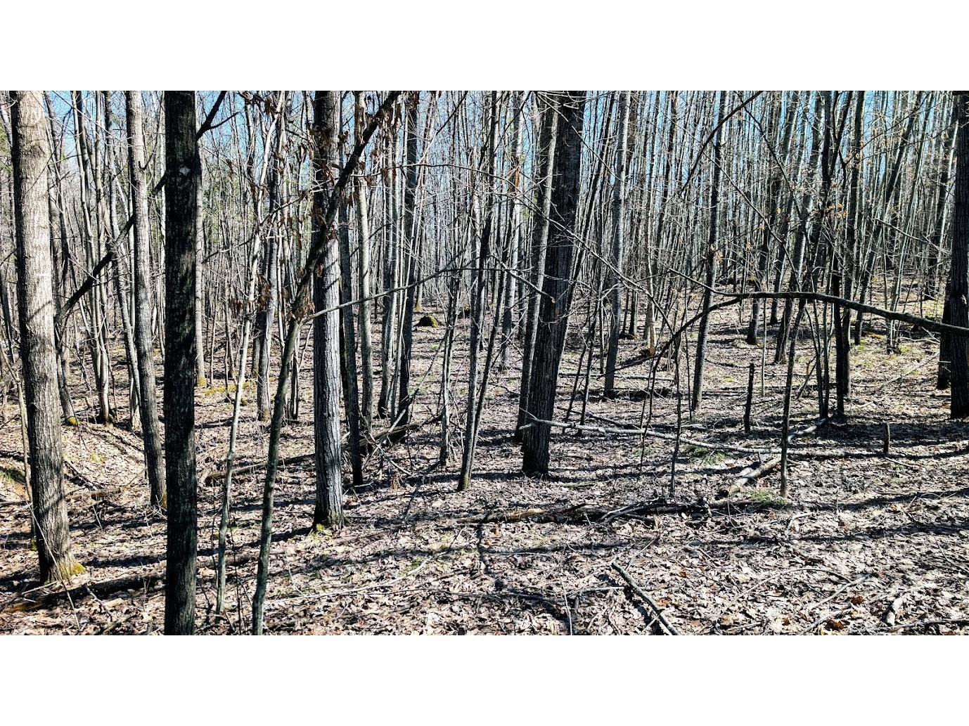 17341 County Highway M New Auburn WI 54757 1599397 image31