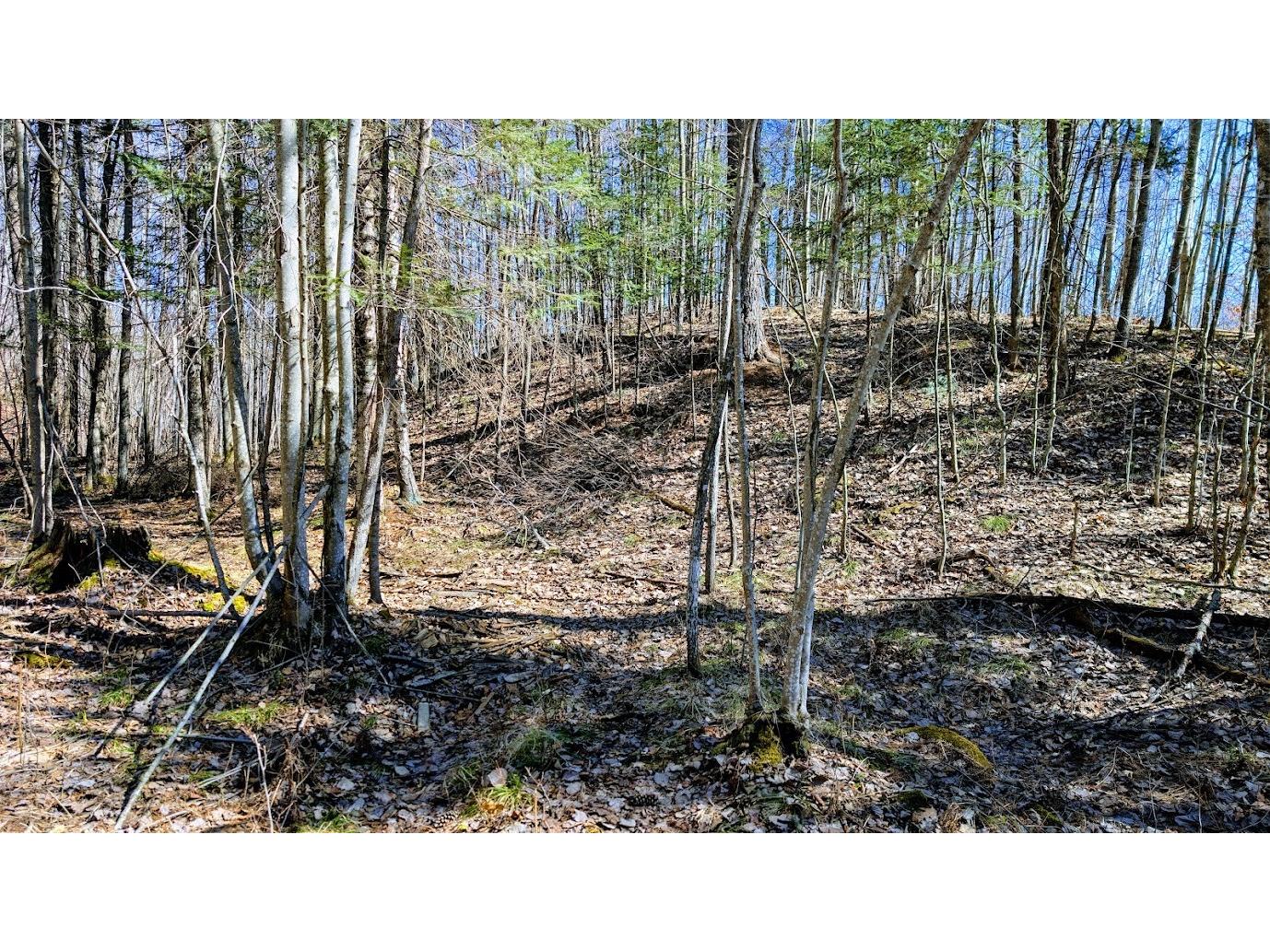 17341 County Highway M New Auburn WI 54757 1599397 image33