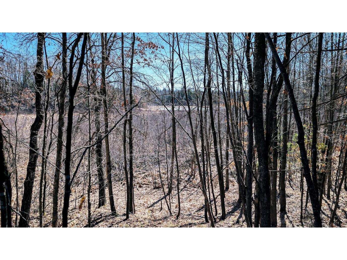 17341 County Highway M New Auburn WI 54757 1599397 image34