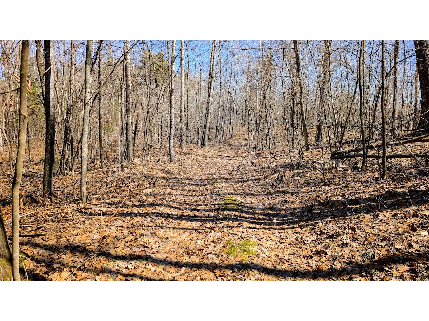 17341 County Highway M New Auburn WI 54757 1599397 image35