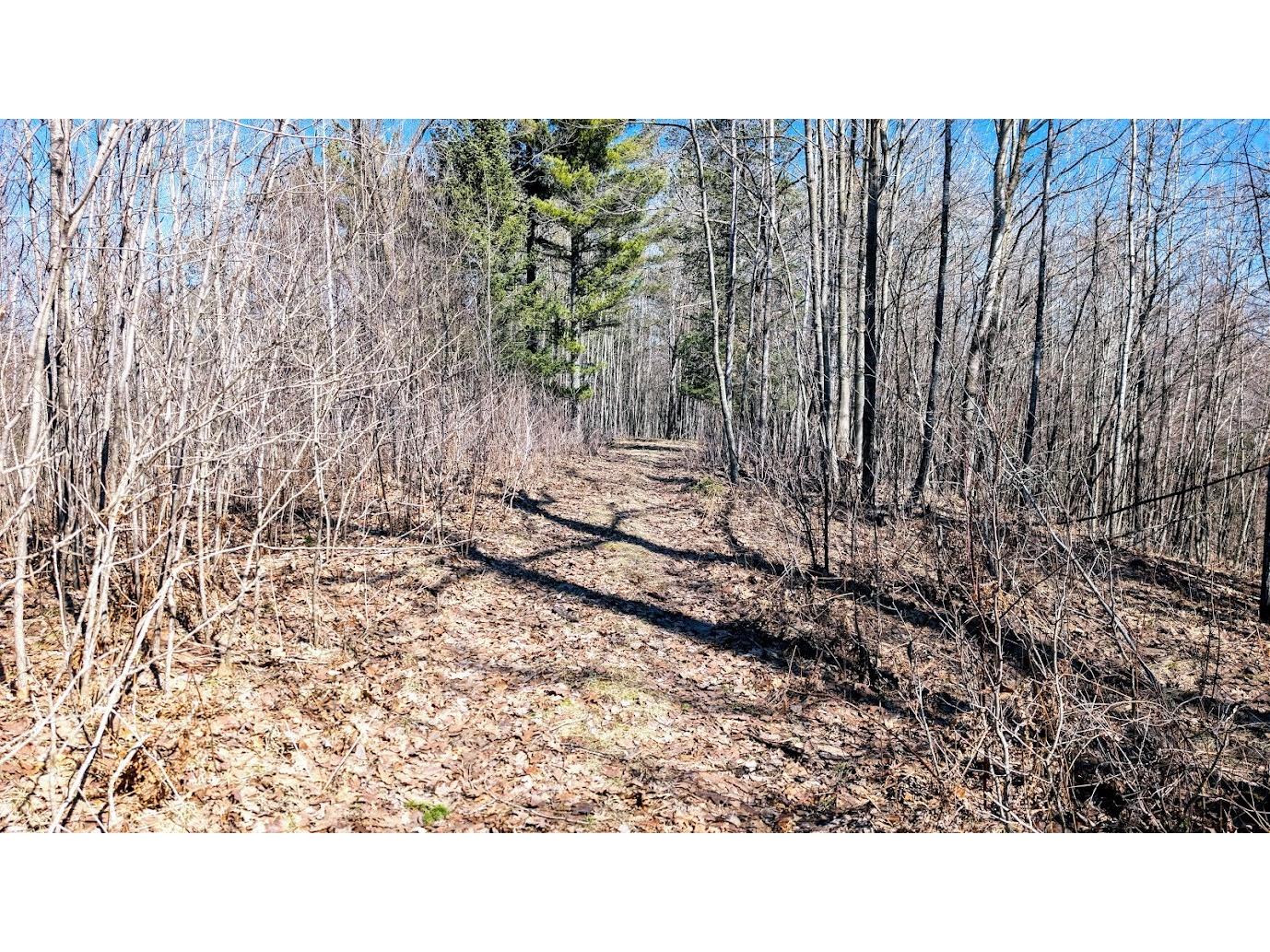 17341 County Highway M New Auburn WI 54757 1599397 image36
