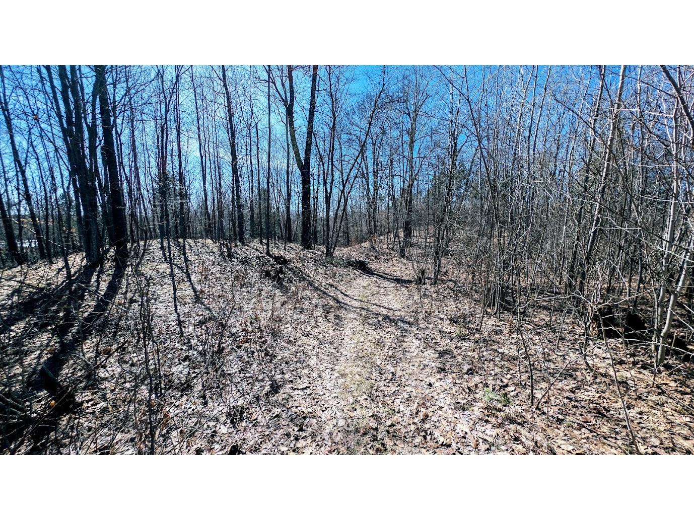 17341 County Highway M New Auburn WI 54757 1599397 image37