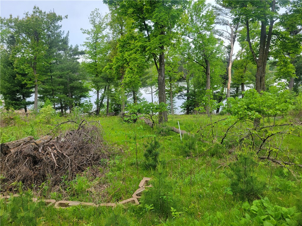 1737 E White Ash Lane Balsam Lake WI 54810 - NORTH WHITE ASH 1592106 image1