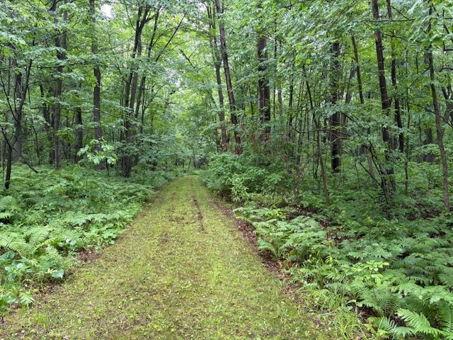 1749 350th Avenue Frederic WI 54837 1592632 image1