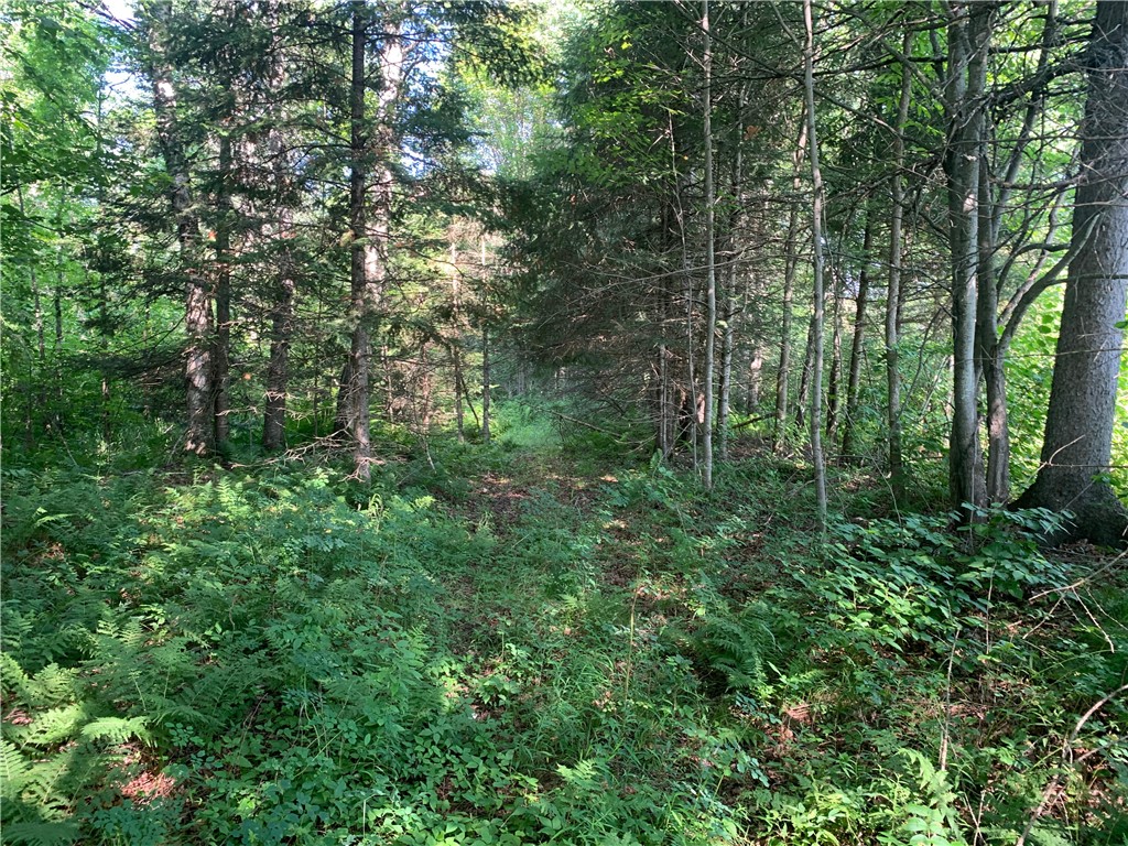 17564 Forest Road 1285 Glidden WI 54527 - East Fork Chippewa River 1593620 image22