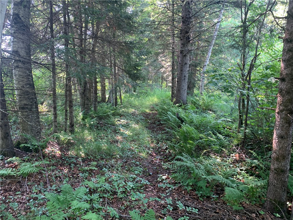 17564 Forest Road 1285 Glidden WI 54527 - East Fork Chippewa River 1593620 image23