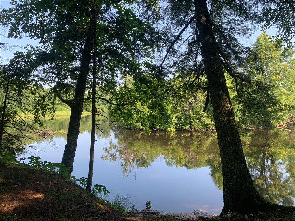 17564 Forest Road 1285 Glidden WI 54527 - East Fork Chippewa River 1593620 image25