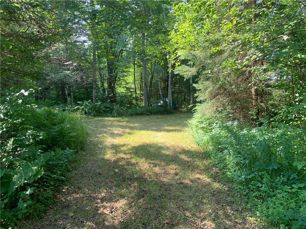 17564 Forest Road 1285 Glidden WI 54527 - East Fork Chippewa River 1593620 image29