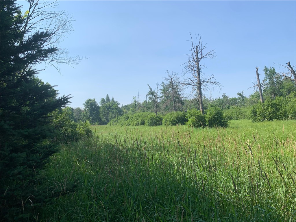 17564 Forest Road 1285 Glidden WI 54527 - East Fork Chippewa River 1593620 image30