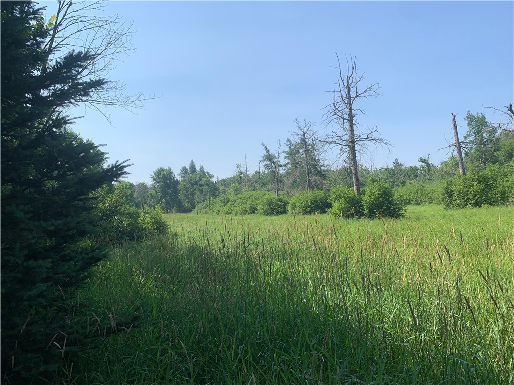 17564 Forest Road 1285 Glidden WI 54527 - East Fork Chippewa River 1593620 image31
