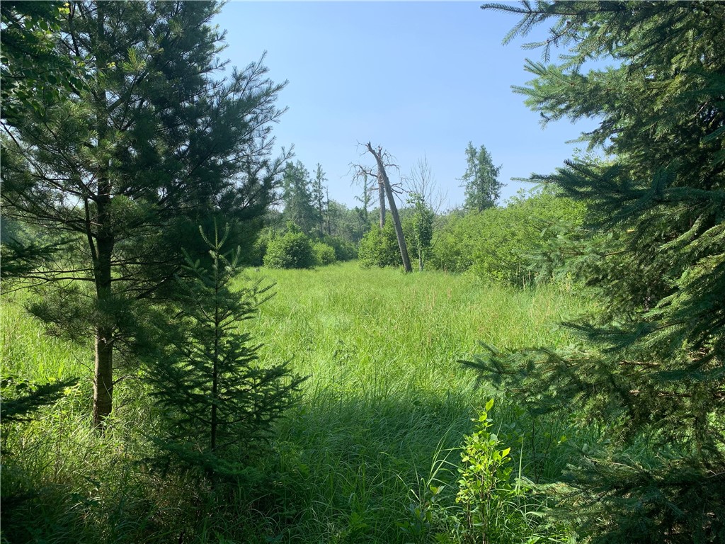 17564 Forest Road 1285 Glidden WI 54527 - East Fork Chippewa River 1593620 image32