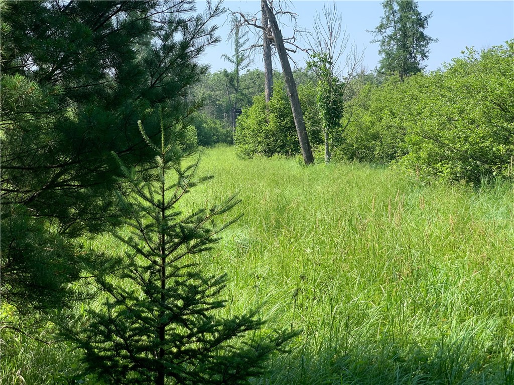 17564 Forest Road 1285 Glidden WI 54527 - East Fork Chippewa River 1593620 image33