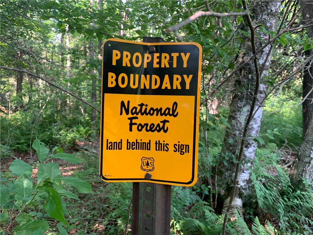 17564 Forest Road 1285 Glidden WI 54527 - East Fork Chippewa River 1593620 image37