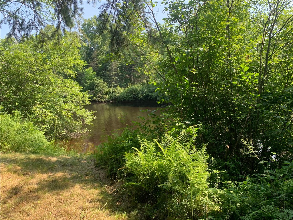17564 Forest Road 1285 Glidden WI 54527 - East Fork Chippewa River 1593620 image4
