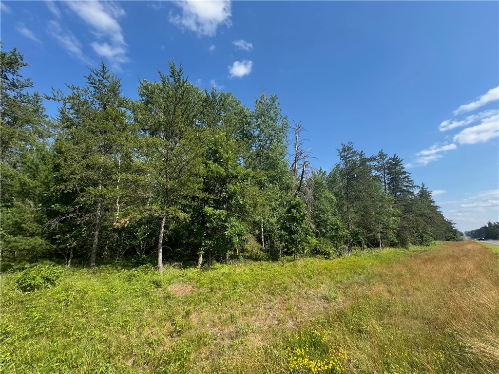 18.8 acres on State Highway 27 Hayward WI 54843 - Spring 1593405 image12