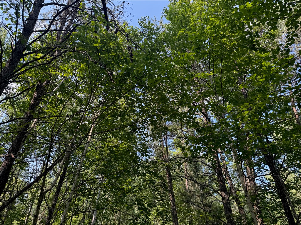 18.8 acres on State Highway 27 Hayward WI 54843 - Spring 1593405 image14