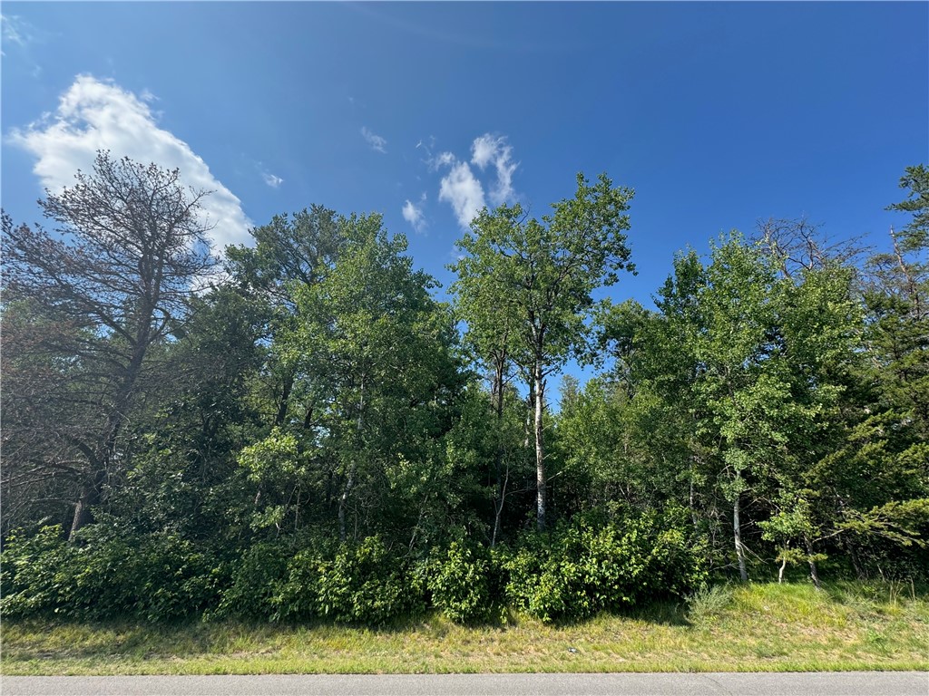 18.8 acres on State Highway 27 Hayward WI 54843 - Spring 1593405 image17