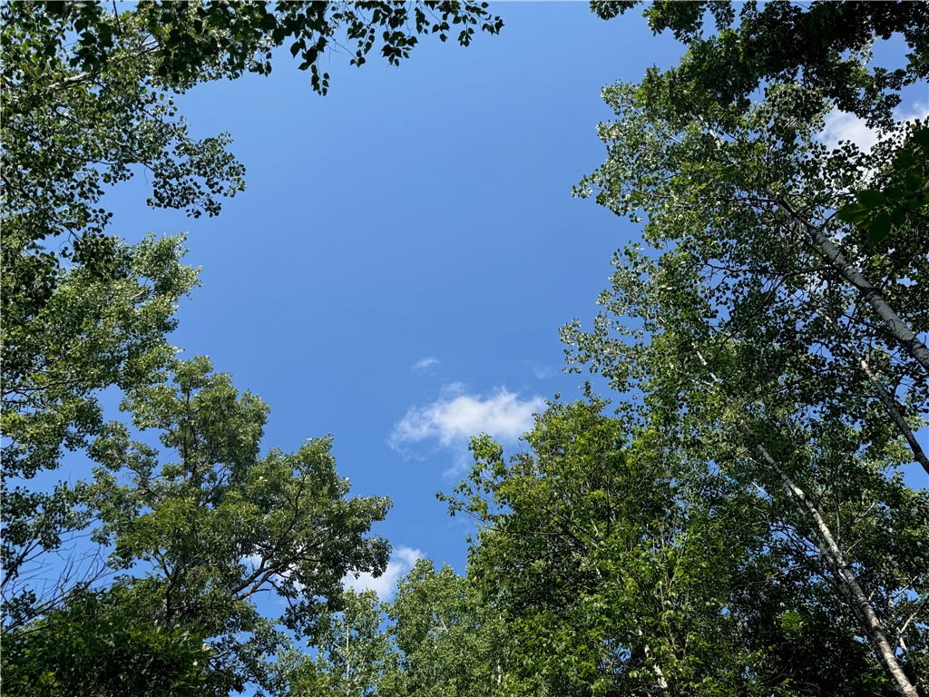 18.8 acres on State Highway 27 Hayward WI 54843 - Spring 1593405 image19