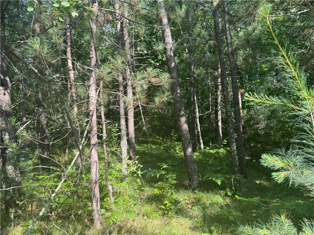 18.8 acres on State Highway 27 Hayward WI 54843 - Spring 1593405 image20