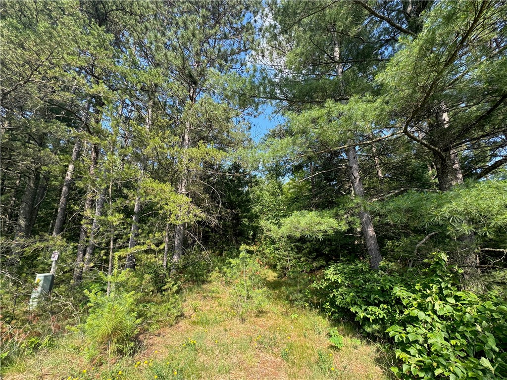 18.8 acres on State Highway 27 Hayward WI 54843 - Spring 1593405 image22