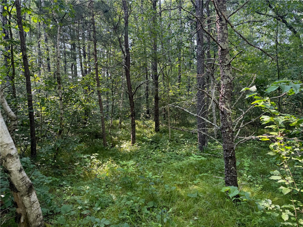 18.8 acres on State Highway 27 Hayward WI 54843 - Spring 1593405 image23