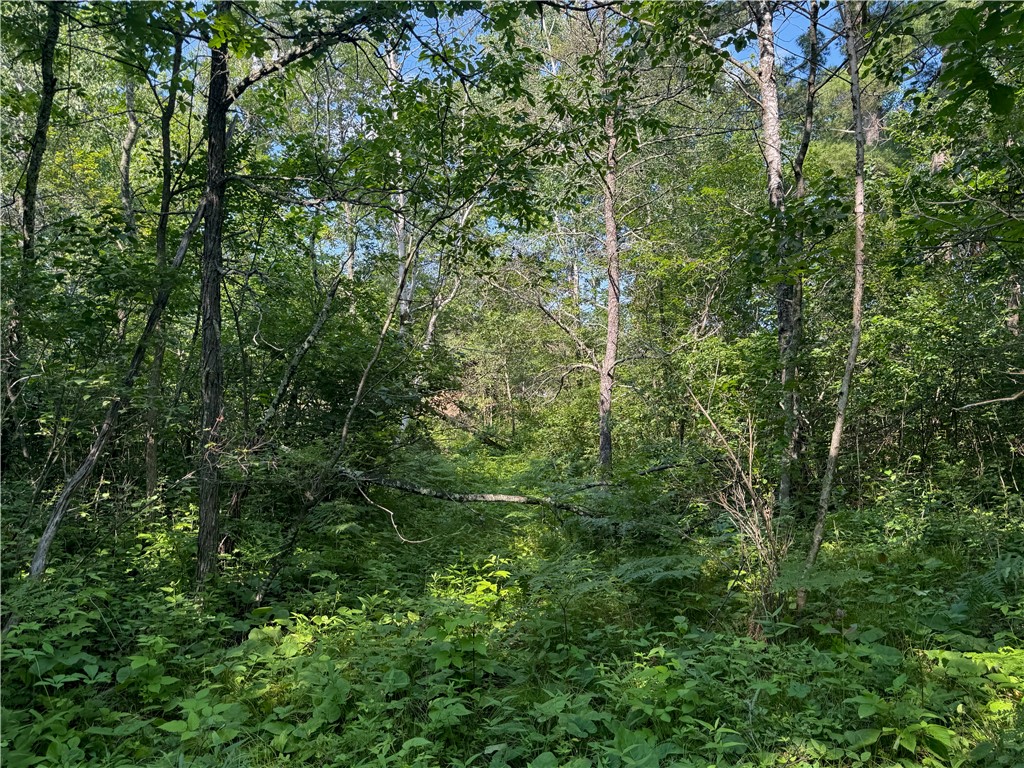 18.8 acres on State Highway 27 Hayward WI 54843 - Spring 1593405 image24